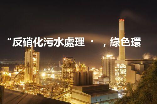 “反硝化污水處理，綠色環(huán)保新篇章”